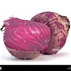 root bet